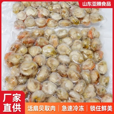 冷冻海鲜批发厂家供应商用饭店扇贝肉海鲜店水产冷链新鲜扇贝肉图2