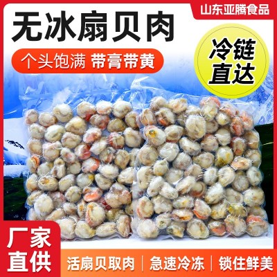 冷冻海鲜批发厂家供应商用饭店扇贝肉海鲜店水产冷链新鲜扇贝肉图4