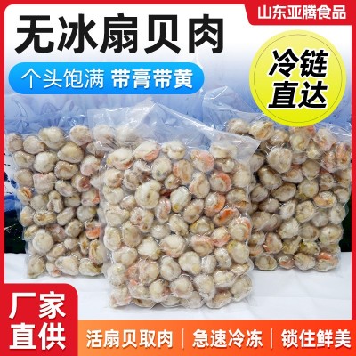 冷冻海鲜批发厂家供应商用饭店扇贝肉海鲜店水产冷链新鲜扇贝肉图3