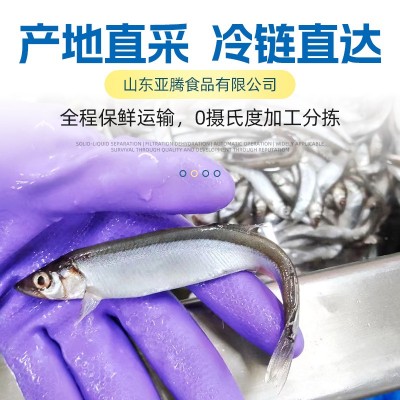 冷冻托盘多春鱼烧烤日料煎炸食材带籽多春鱼整箱满籽母体多春鱼