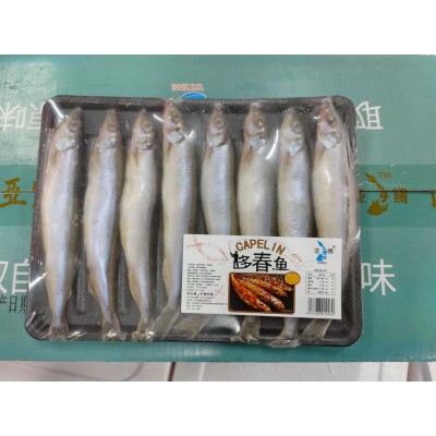 冷冻托盘多春鱼烧烤日料煎炸食材带籽多春鱼整箱满籽母体多春鱼图5