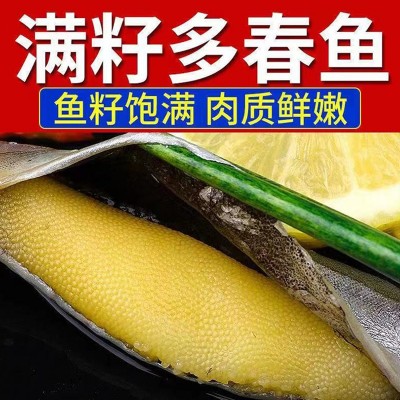 冷冻烤串鱼烧烤煎炒烹饪炸满籽多春鱼直达批发工厂供应带籽多春鱼图3