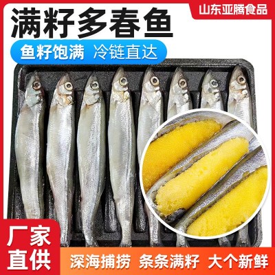 冷冻托盘多春鱼批发新鲜野生带籽多春鱼水产母体海鲜满籽多春鱼图4