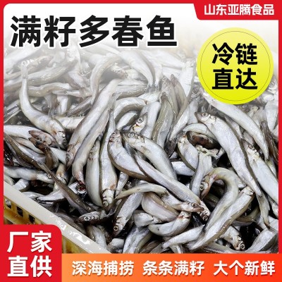 冷冻托盘多春鱼批发新鲜野生带籽多春鱼水产母体海鲜满籽多春鱼图2