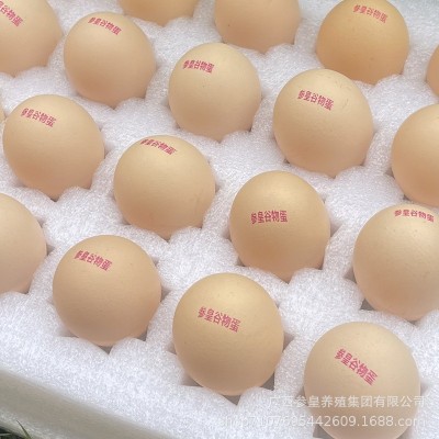 整箱谷物蛋鲜鸡蛋广西谷物土鸡蛋20枚发货一件代发破损包赔图4