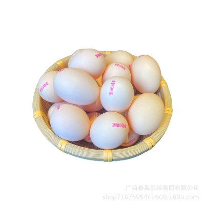 整箱谷物蛋鲜鸡蛋广西谷物土鸡蛋20枚发货一件代发破损包赔图5