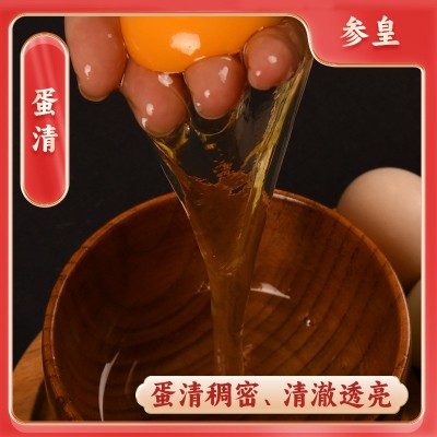 新鲜广西土鸡蛋20枚盒装食用鸡蛋包邮整箱批发一件代发土鸡蛋厂家图4