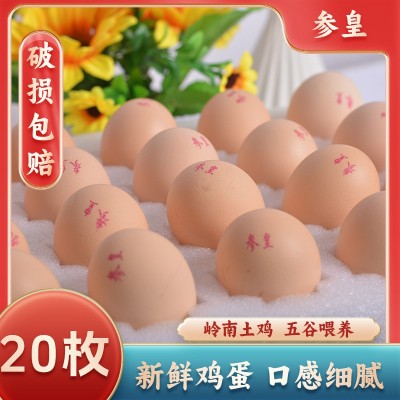 新鲜广西土鸡蛋20枚盒装食用鸡蛋包邮整箱批发一件代发土鸡蛋厂家