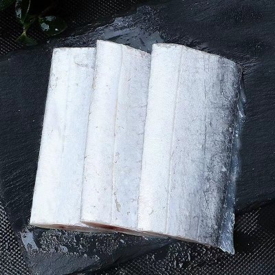 精品无冰衣带鱼段500克 带鱼新鲜冷冻海鲜刀鱼纯中段鲜活带鱼现货图3