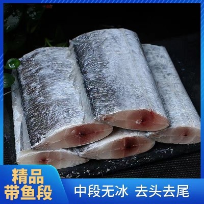 精品无冰衣带鱼段500克 带鱼新鲜冷冻海鲜刀鱼纯中段鲜活带鱼现货