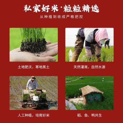 东北大米 秋田小町 圆粒大米2.5kg包邮真空装图4