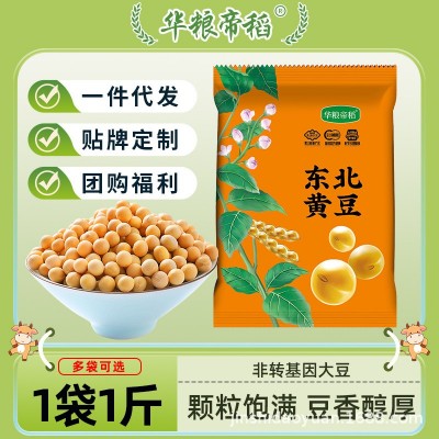 【华粮帝稻】黑龙江东北非转基因新黄豆500g 豆芽 打豆浆专用豆子
