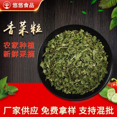 脱水蔬菜香菜粒酸辣粉自热锅香菜蔬菜包泡面提味调料脱水香菜粒