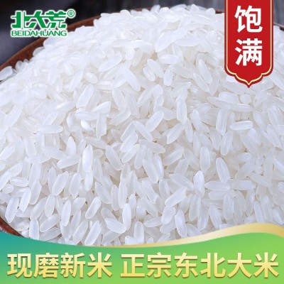 北大荒龙系长粒香大米5kg 东北大米10斤批发真空装新米长粒大米图2