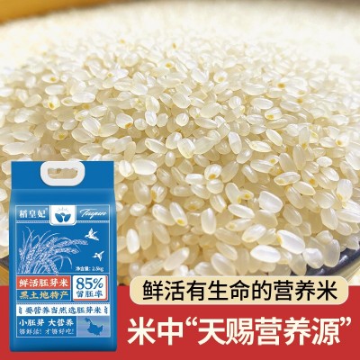 稻皇妃大米鲜胚芽米5斤一袋保留大米胚芽粳米谷物米搭配厂家批发图2