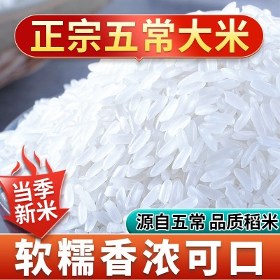 现磨现发正宗 五常大米5kg东北大米10斤长粒米香米当季新米批发图2