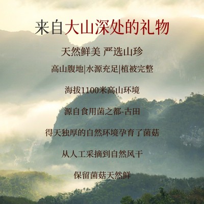 口感脆嫩 鹿茸菇250g 鹿茸菌菇干货 炒菜煲汤材料 干锅火锅食材图3