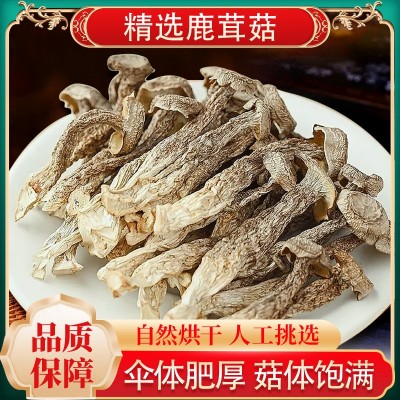 茸菇500g干货鹿茸菌非特级野生脆脆菇干煲汤蘑菇云南菌 子特产