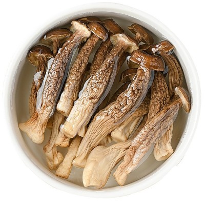 茸菇500g干货鹿茸菌非特级野生脆脆菇干煲汤蘑菇云南菌 子特产图5