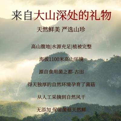茸菇500g干货鹿茸菌非特级野生脆脆菇干煲汤蘑菇云南菌 子特产图3