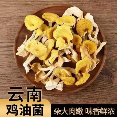 云南特产鸡油菌干蘑菇鸡油菌黄丝菌食用菌榆黄菇干货厂家直销