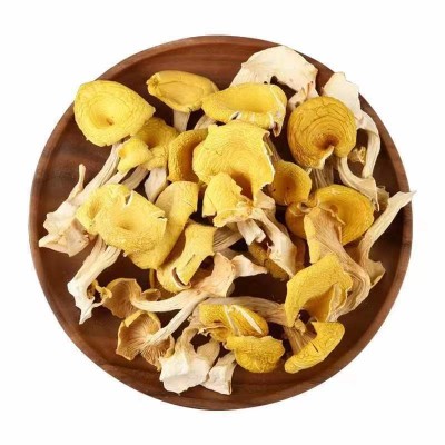 云南特产鸡油菌干蘑菇鸡油菌黄丝菌食用菌榆黄菇干货厂家直销图5