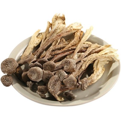 云南特产鹿茸菇干货 厂家批发食用菌鹿茸菌干货批发 产地货源图4