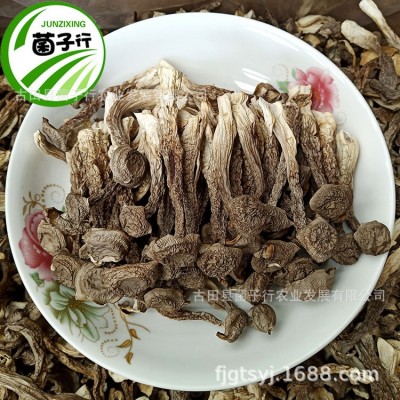 食用菌干货农产品整箱批发鹿茸菌中粗小条鹿茸菇脆脆菇一件代发图4