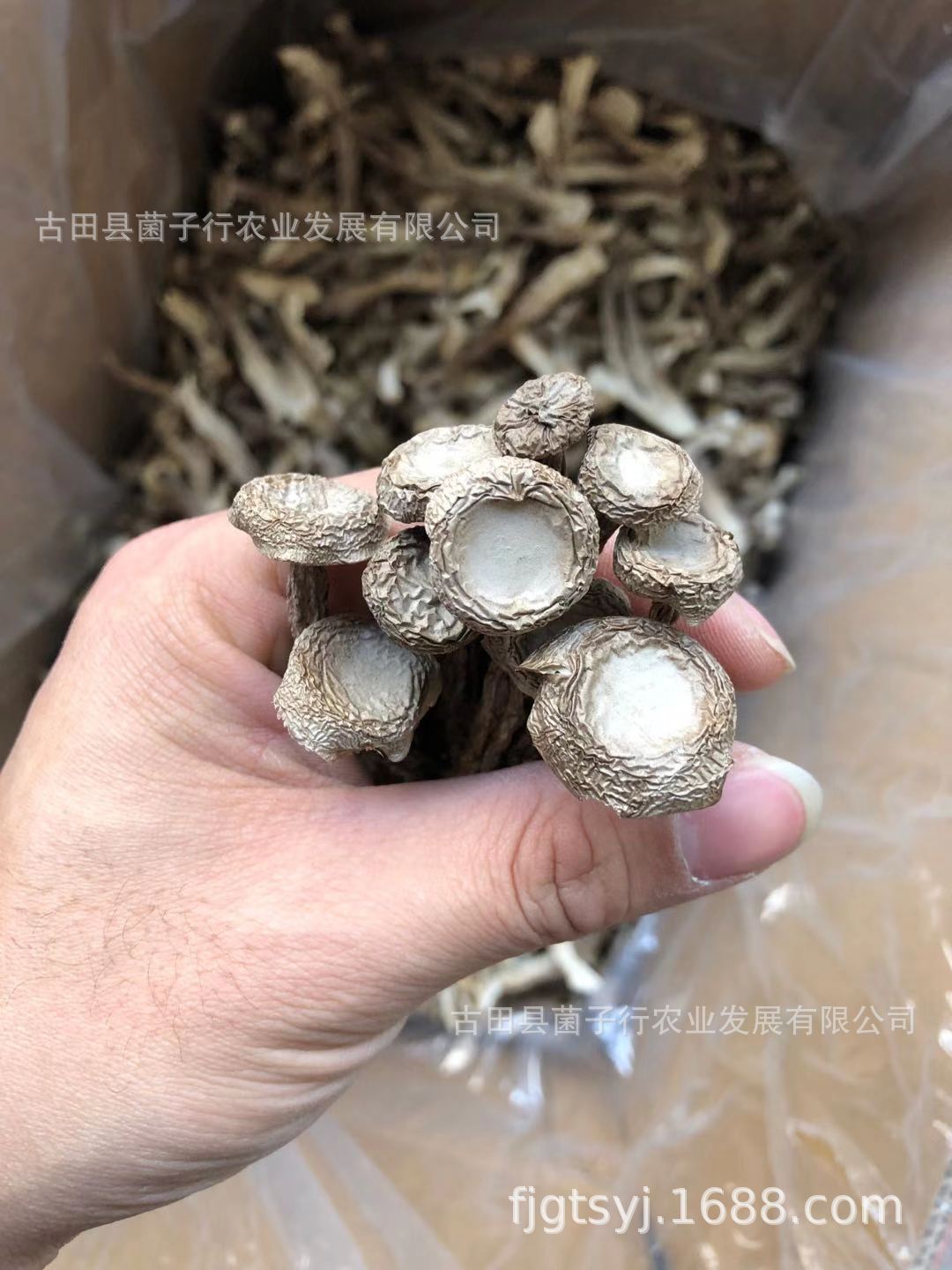 微信图片_20210105154643