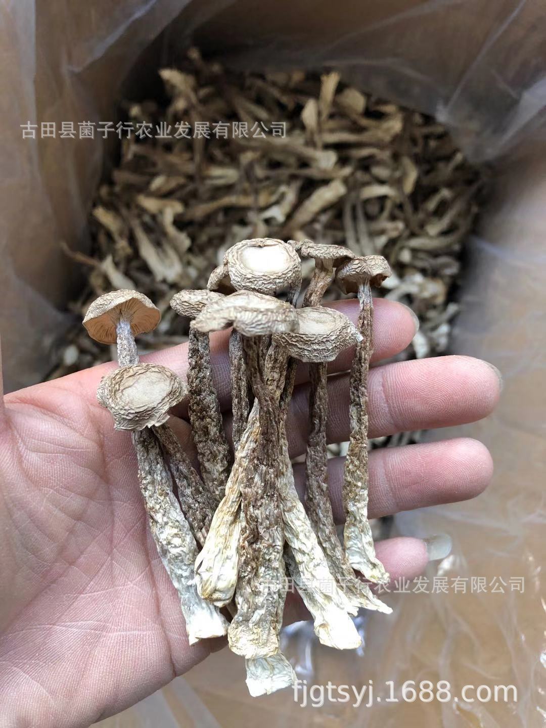 微信图片_20210105154649