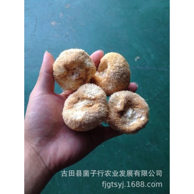 厂家直供古田新货猴头菇干货批发散装新鲜食用菌餐饮酒店食材图5