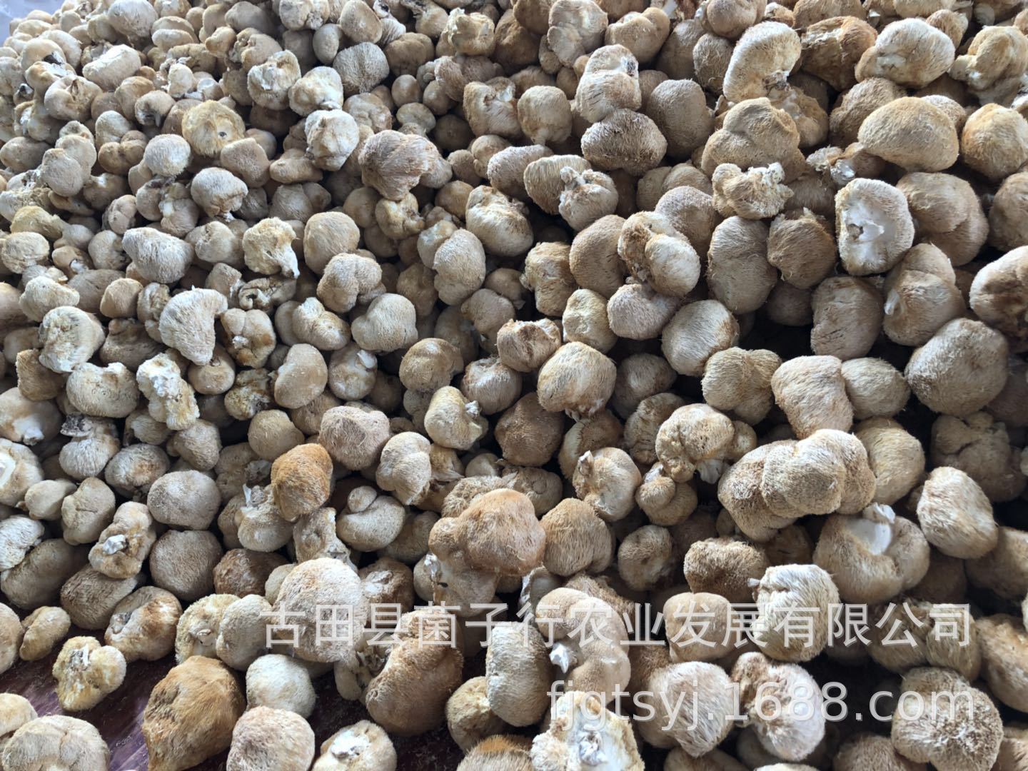 微信图片_20190715205601