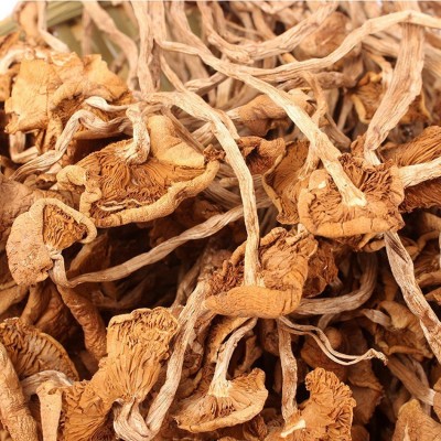 古田新货开伞茶树菇 食用菌批发南北干货菌菇散装一件代批发图4