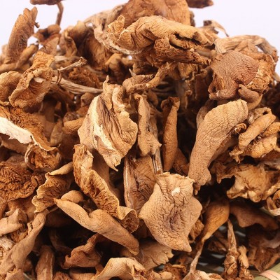 古田新货开伞茶树菇 食用菌批发南北干货菌菇散装一件代批发图2
