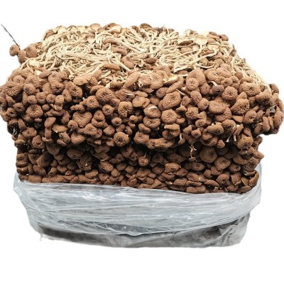 福建干茶树菇批发茶树菇茶树菇干货散装原产地直销批发 500g图5