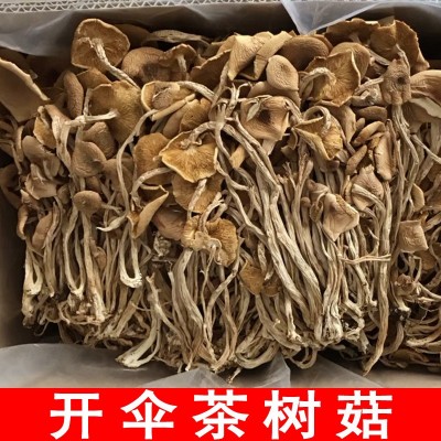 福建干茶树菇批发茶树菇茶树菇干货散装原产地直销批发 500g图4
