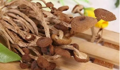 干茶树菇的挑选及泡发