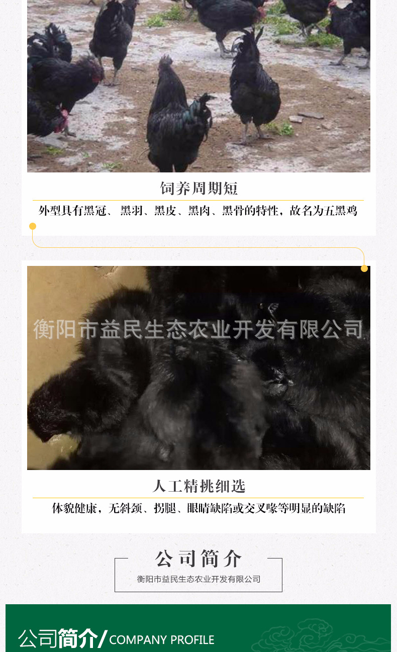 五黑一绿_06.jpg