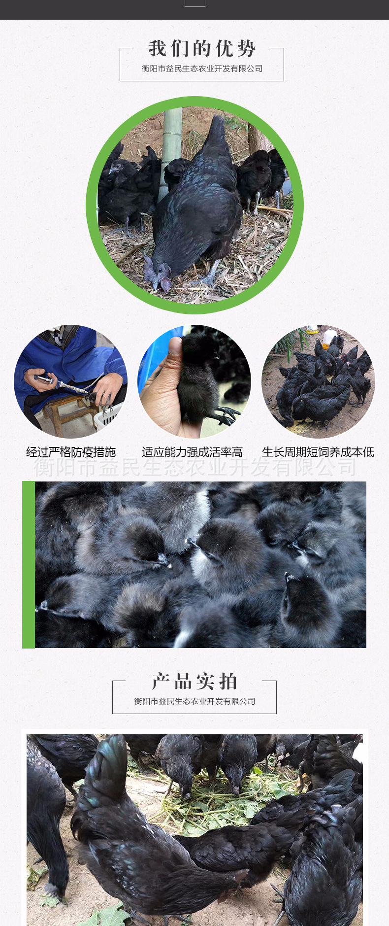 五黑一绿_03.jpg