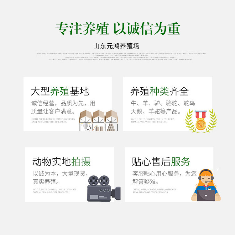详情页_07.jpg