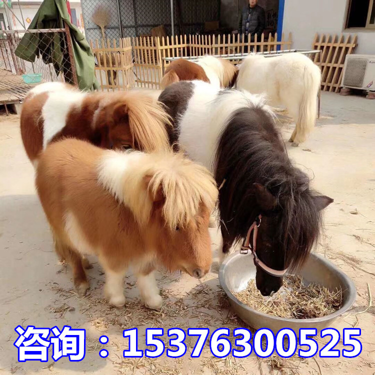 F0D83FEC065B11AAB2656ACE171B6A