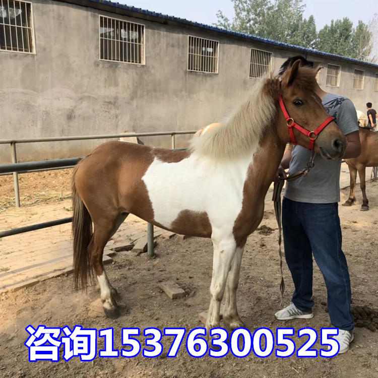 05473374D371C3F435540B02F73DAB