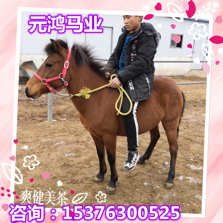 2CE4E4756E61A5F6EDB1A82C35C501