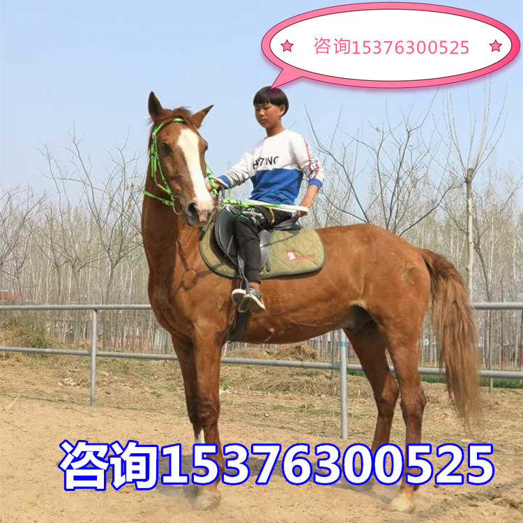 481A6BC05F7334E2CB5FB2CB375137