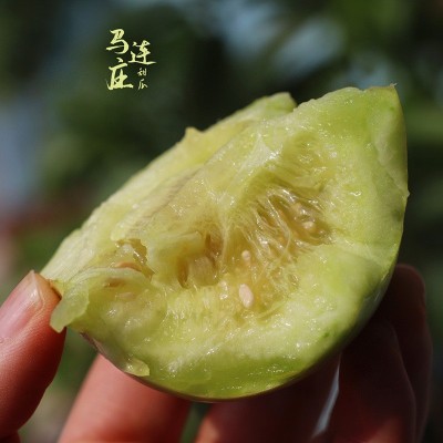 山东马连庄头茬甜瓜新鲜应季水果整箱包邮山东蜜宝瓜现摘小脆香瓜图2