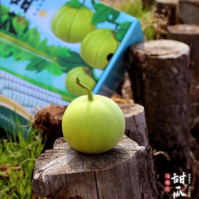 山东马连庄头茬甜瓜新鲜应季水果整箱包邮山东蜜宝瓜现摘小脆香瓜图3