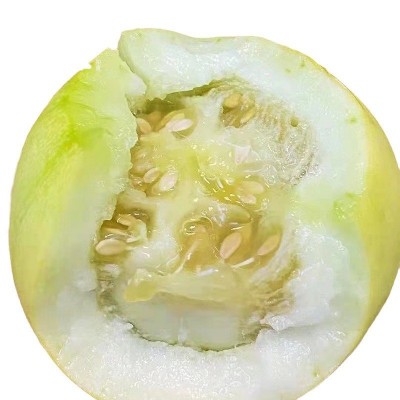 山东马连庄头茬甜瓜新鲜应季水果整箱包邮山东蜜宝瓜现摘小脆香瓜图5