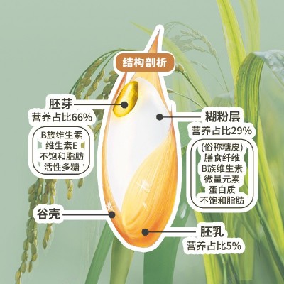 胚芽米5斤鲜胚芽米胚芽率80%胚芽粳米谷物米搭配宝宝辅食 胚芽鲜米图4