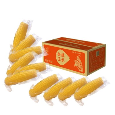 东北新鲜甜糯玉米黄糯玉米糯9苞米现摘黏玉米真空10棒/箱 批发定制图5