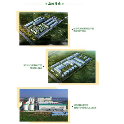 爱菊醇香菜籽油5L 陕西食用油批发 哈萨克斯坦进口原料 压榨二级图4
